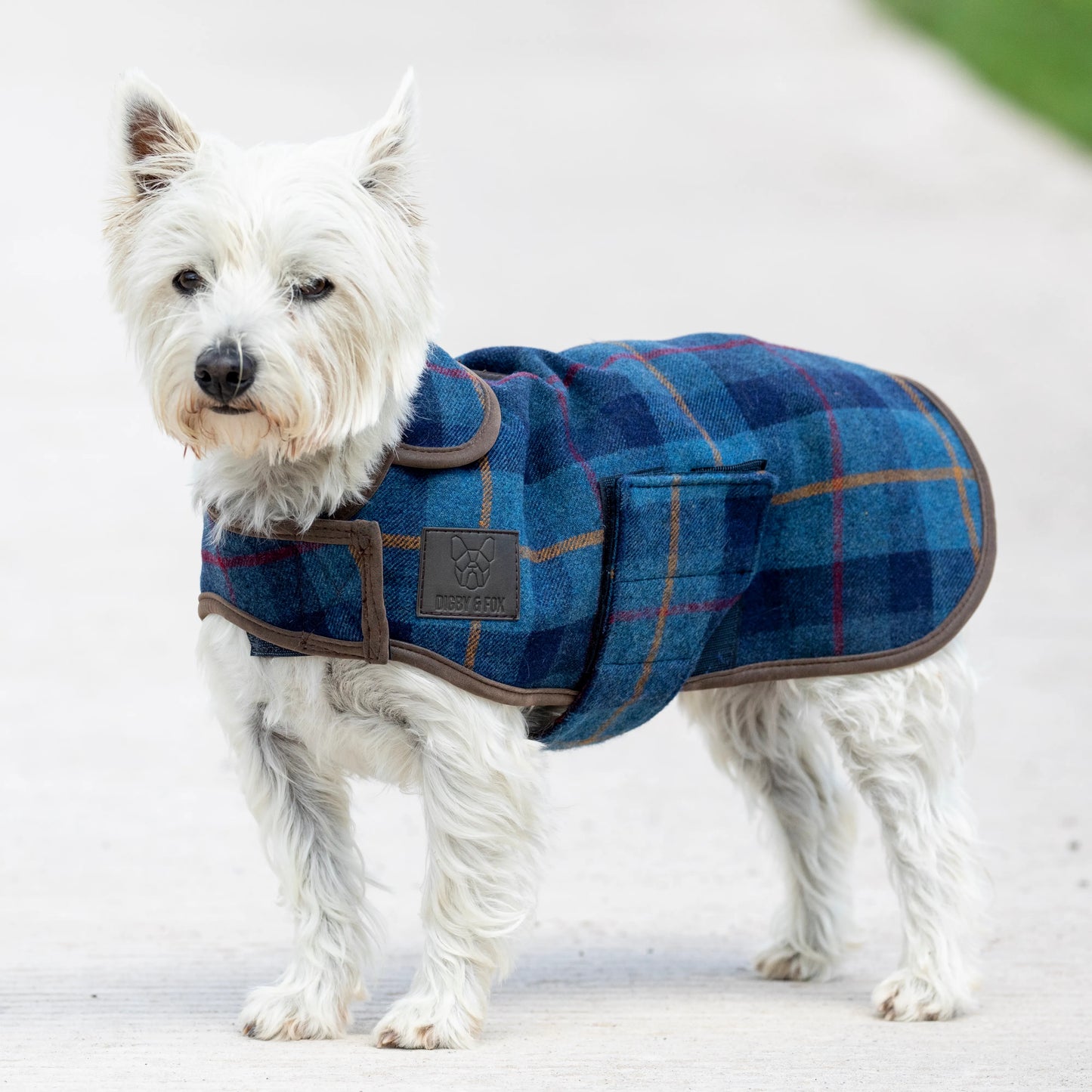 Tweed Köpek Montu (Lacivert)